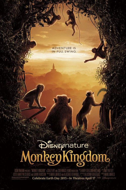 Monkey Kingdom | อาณาจักรลิง จากป่าไม้สู่ป่าเมือง