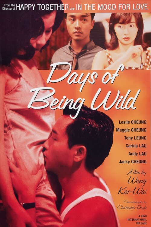 Days of Being Wild | วันที่หัวใจรักกล้าตัดขอบฟ้า