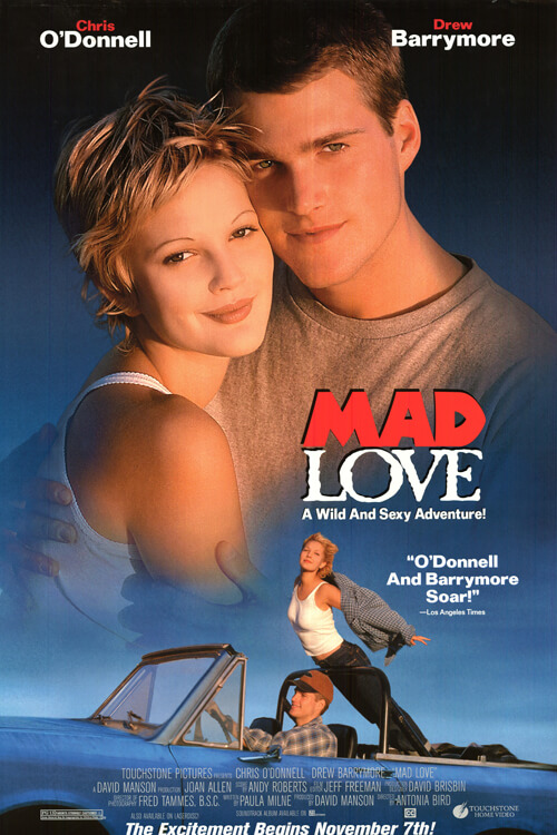 Mad Love | ครั้งหนึ่งเมื่อหัวใจกล้าบ้ารัก