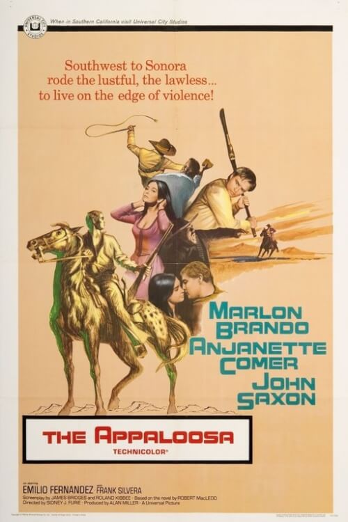 The Appaloosa | เดอะ แอพพะลูซา คาวบอย