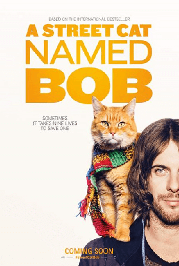 ดูหนัง A Street Cat Named Bob บ๊อบ แมว เพื่อน คน (2017) เต็มเรื่อง - เว็บดูหนังดีดี ดูหนังออนไลน์ 2020 หนังใหม่ชนโรง