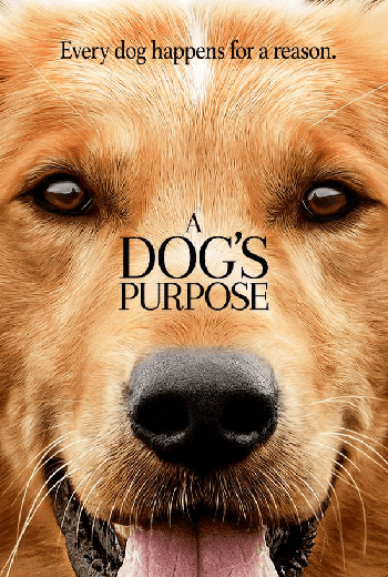 ดูหนัง A Dog's Purpose (2017) หมา เป้าหมาย และเด็กชายของผม เต็มเรื่อง - เว็บดูหนังดีดี ดูหนังออนไลน์ 2020 หนังใหม่ชนโรง