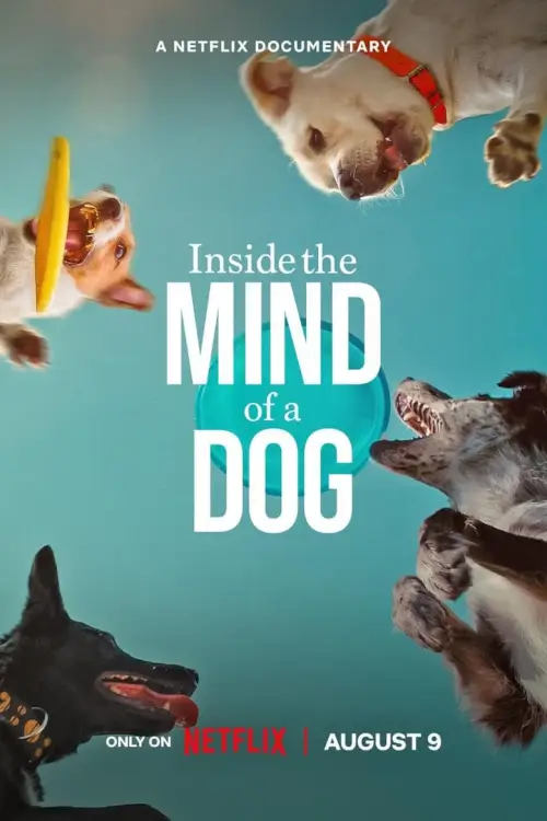 Inside the Mind of a Dog | อ่านใจสุนัข