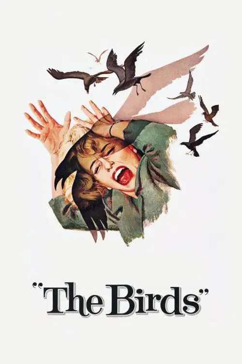 The Birds | นก นก นก