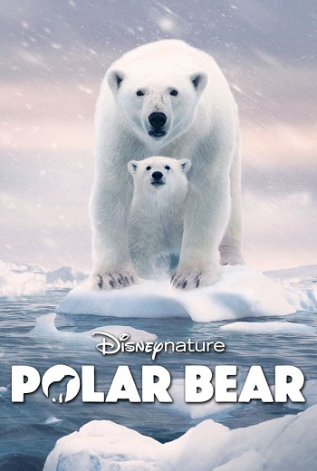 Polar Bear (2022) [บรรยายไทย]
