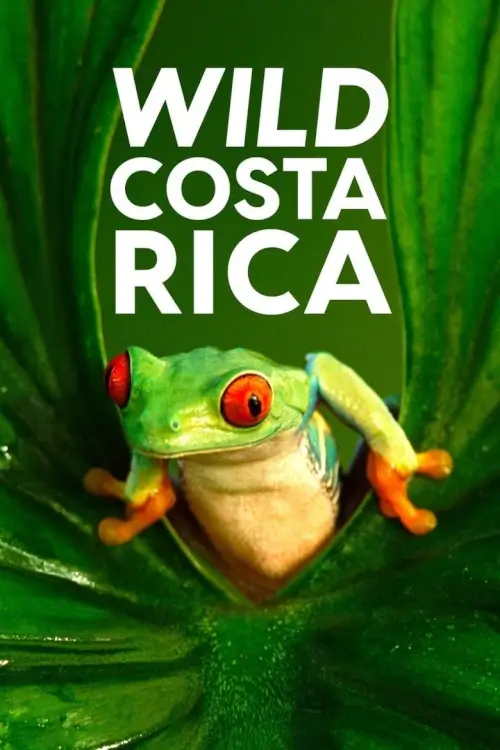 Wild Costa Rica | ไวลด์คอสตาริกา