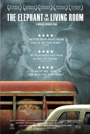 The Elephant in the Room บุรุษพยาบาล (2010) บรรยายไทย  เต็มเรื่อง