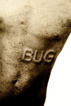 Bug