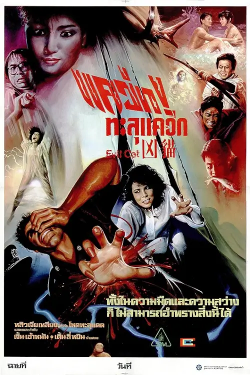 Evil Cat {凶貓} - เว็บดูหนังดีดี ดูหนังออนไลน์ 2020 หนังใหม่ชนโรง