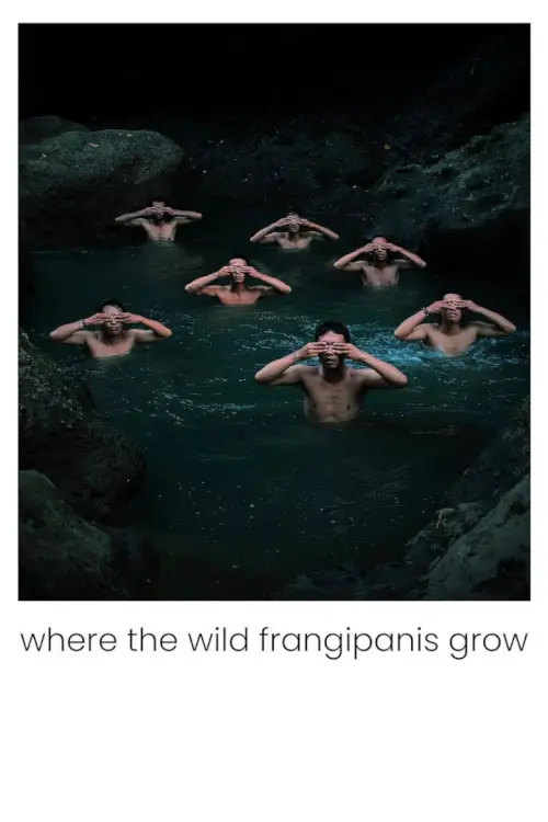 Where the Wild Frangipanis Grow | ที่ที่ลีลาวดีเบ่งบาน - เว็บดูหนังดีดี ดูหนังออนไลน์ 2020 หนังใหม่ชนโรง