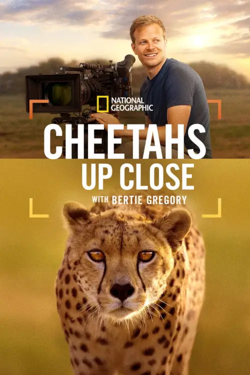 Cheetahs Up Close with Bertie Gregory - เว็บดูหนังดีดี ดูหนังออนไลน์ 2020 หนังใหม่ชนโรง