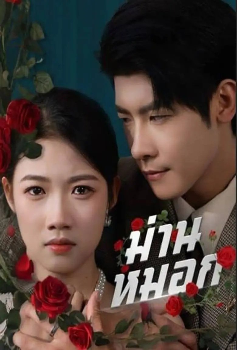 ม่านหมอก - เว็บดูหนังดีดี ดูหนังออนไลน์ 2020 หนังใหม่ชนโรง