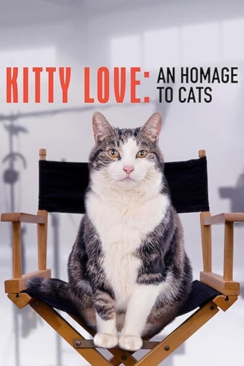 Kitty Love: An Homage to Cats | ความรักแมวๆ แด่น้องเหมียว