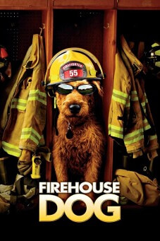 Firehouse Dog
