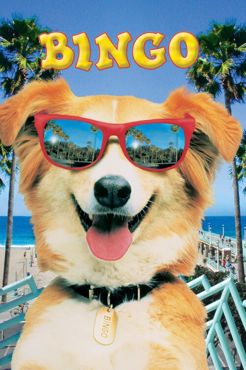 Bingo | บิงโก