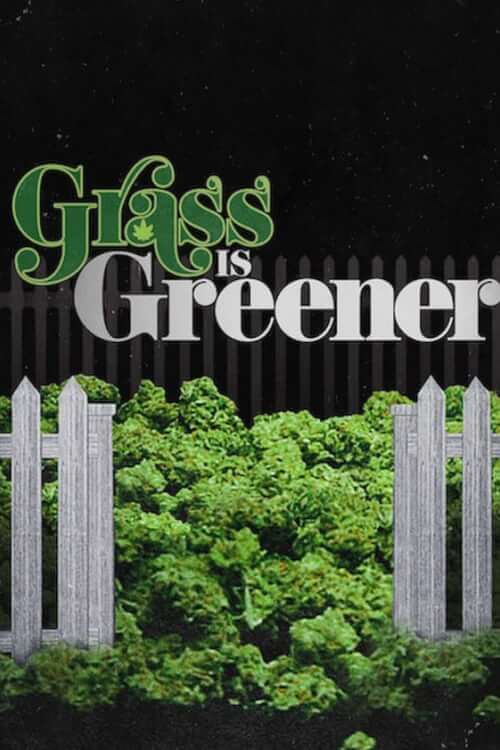 Grass Is Greener | กัญชา เขียวแต่ไม่เท่าเทียม