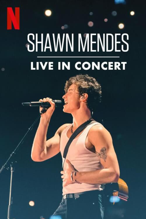 Shawn Mendes: Live in Concert
