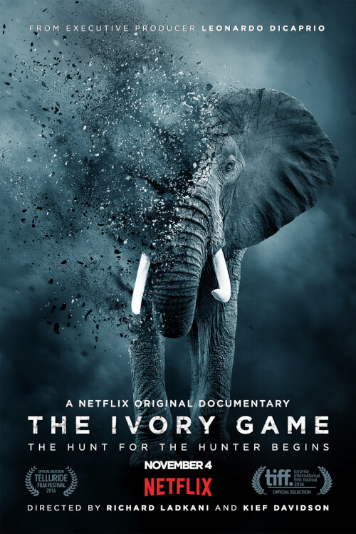 The Ivory Game | สงครามงาช้าง