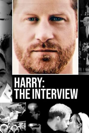 Harry: The Interview | แฮร์รี่: บทสัมภาษณ์