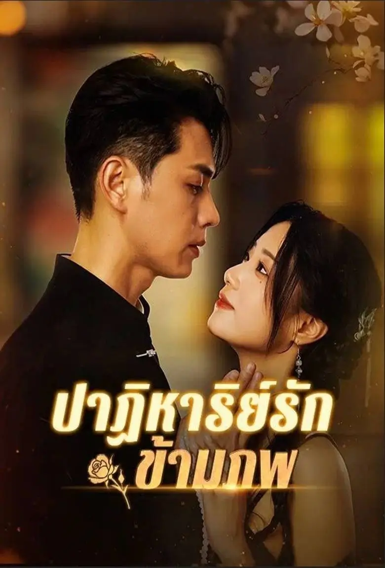 ปาฎิหาริย์รักข้ามภพ - เว็บดูหนังดีดี ดูหนังออนไลน์ 2020 หนังใหม่ชนโรง