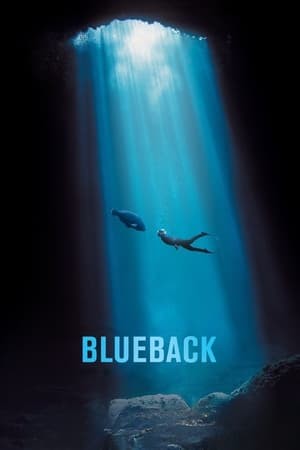 Blueback | บลูแบ็คเจ้าหลังน้ำเงิน