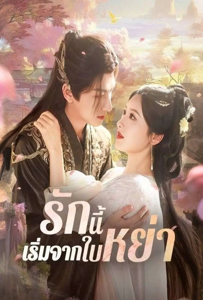 รักนี้เริ่มจากใบหย่า - เว็บดูหนังดีดี ดูหนังออนไลน์ 2020 หนังใหม่ชนโรง