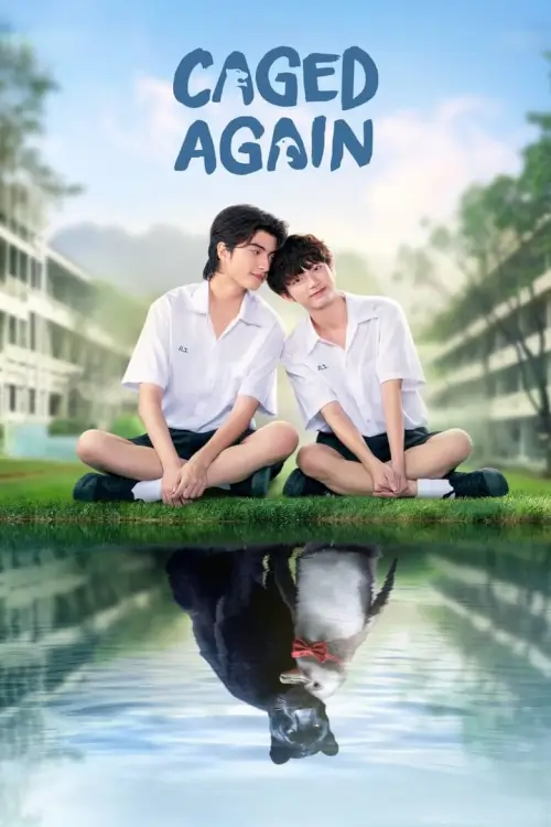 บอกกรงๆ...ว่ารักเธอ | Caged Again - เว็บดูหนังดีดี ดูหนังออนไลน์ 2022 หนังใหม่ชนโรง