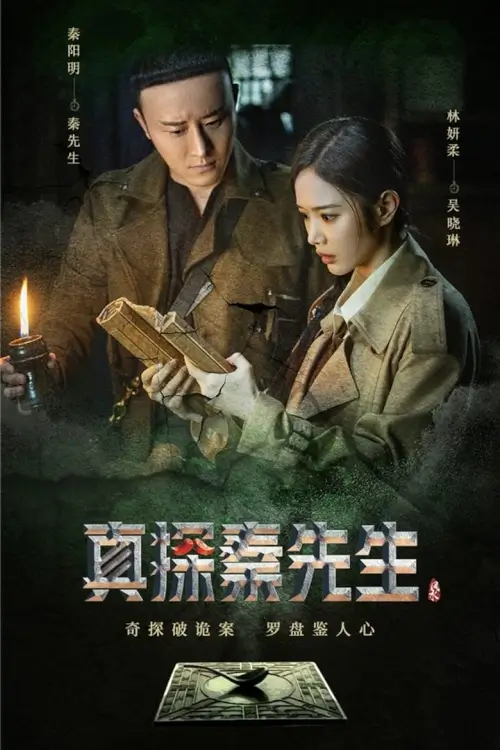 真探秦先生 | True Detective Mr. Qin - เว็บดูหนังดีดี ดูหนังออนไลน์ 2022 หนังใหม่ชนโรง