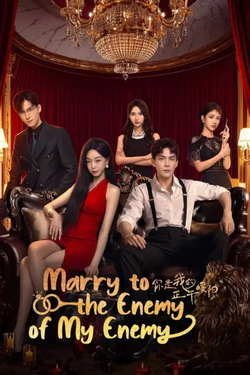 Marry to the Enemy of My Enemy (2025) ด้วยรักจากดวงตะวัน - เว็บดูหนังดีดี ดูหนังออนไลน์ 2022 หนังใหม่ชนโรง