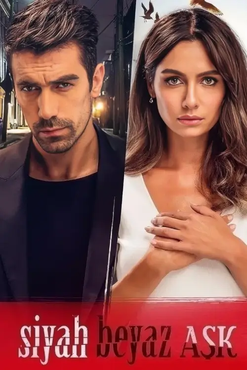 Price Of Passion (Siyah Beyaz Aşk) | เร้นรัก กับดักหัวใจ - เว็บดูหนังดีดี ดูหนังออนไลน์ 2022 หนังใหม่ชนโรง