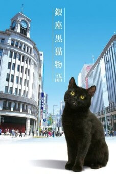 GINZA CAT : แมวเหมียวกินซ่า - เว็บดูหนังดีดี ดูหนังออนไลน์ 2022 หนังใหม่ชนโรง