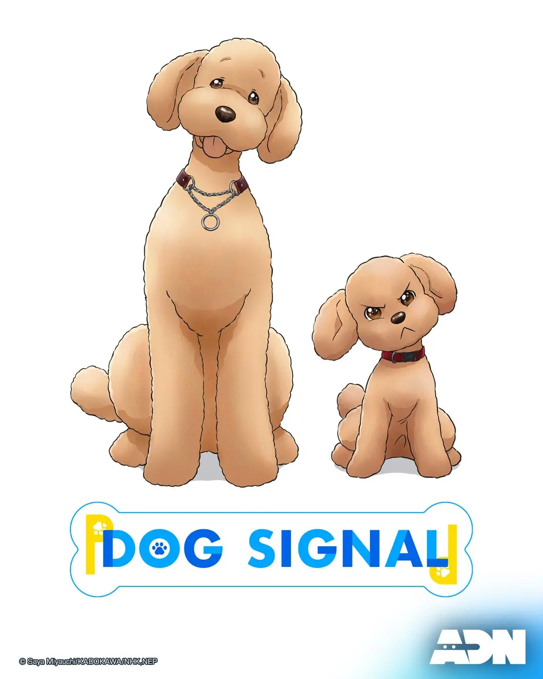 Dog Signal (ドッグシグナル) : สัญญาณหมา - เว็บดูหนังดีดี ดูหนังออนไลน์ 2022 หนังใหม่ชนโรง
