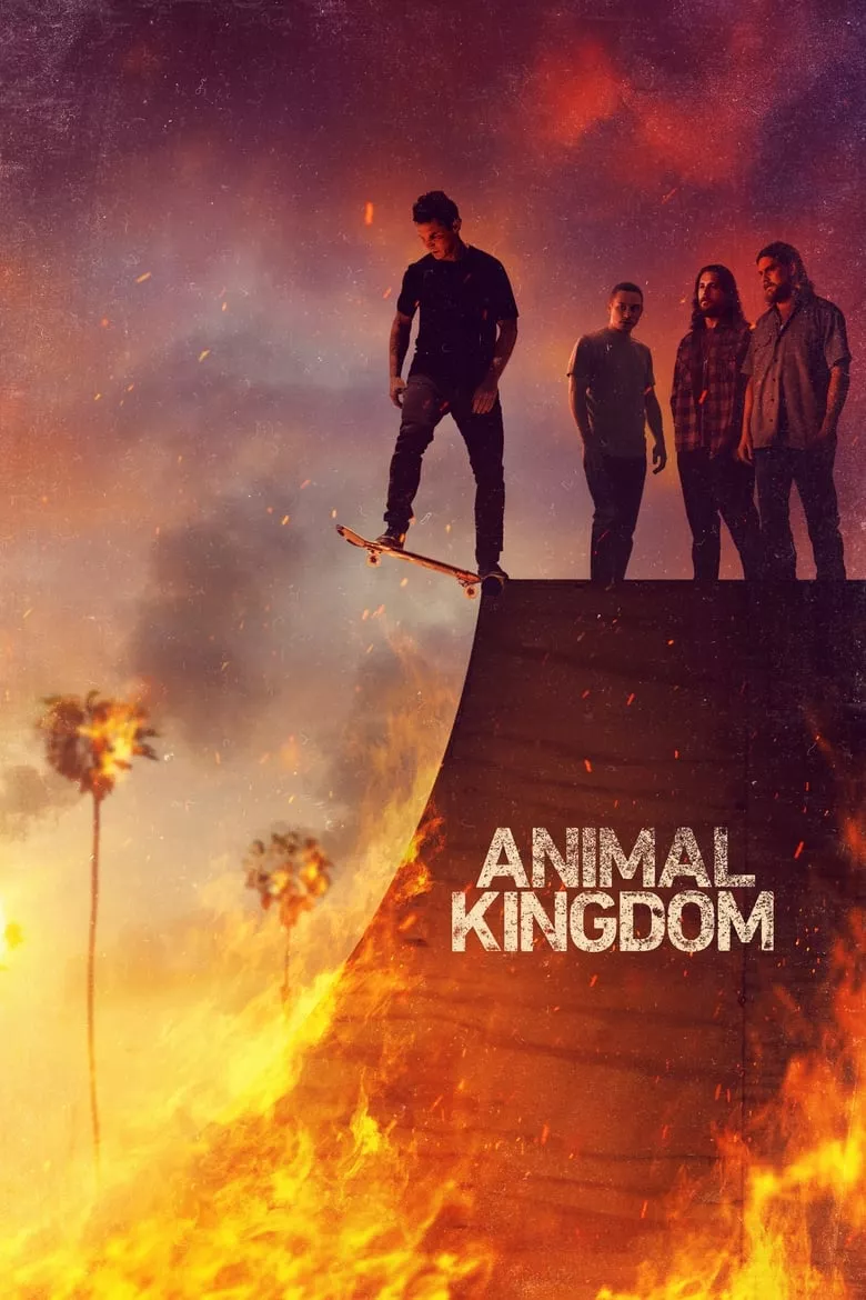 Animal Kingdom : แอนิมอล คิงดอม - เว็บดูหนังดีดี ดูหนังออนไลน์ 2022 หนังใหม่ชนโรง