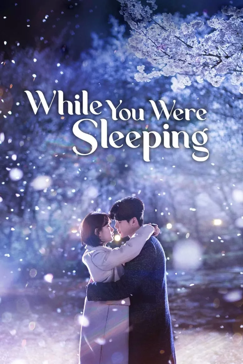 While You Were Sleeping : ลิขิตฝันฉันและเธอ - เว็บดูหนังดีดี ดูหนังออนไลน์ 2022 หนังใหม่ชนโรง