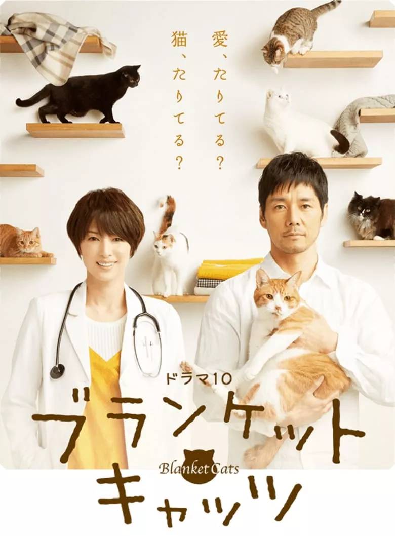 Blanket Cats : ผ้าห่มแมว - เว็บดูหนังดีดี ดูหนังออนไลน์ 2022 หนังใหม่ชนโรง