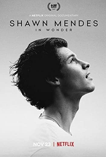 ดูหนัง-Shawn Mendes: In Wonder ชอว์น เมนเดส: ช่วงเวลามหัศจรรย์ (2020)เต็มเรื่อง