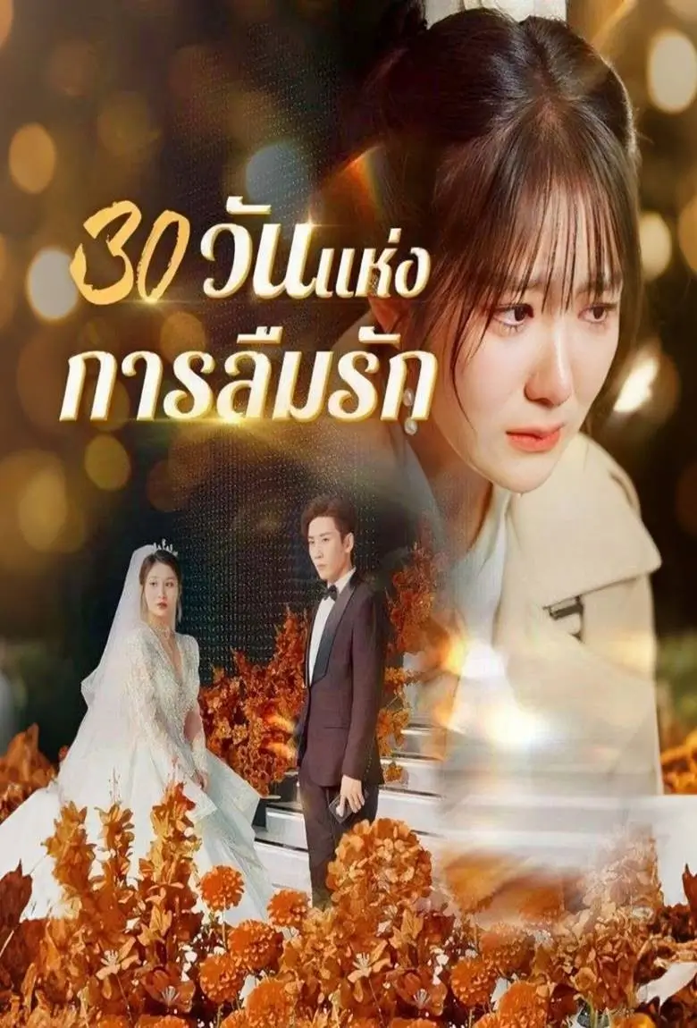 30 วันแห่งการลืมรัก - เว็บดูหนังดีดี ดูหนังออนไลน์ 2020 หนังใหม่ชนโรง