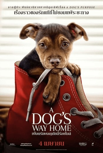 A Dog's Way Home เพื่อนรักผจญภัยสี่ร้อยไมล์