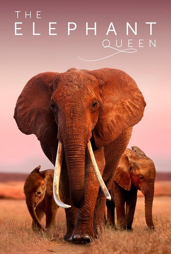 The Elephant Queen (2019) [พากย์ไทย บรรยายไทย]
