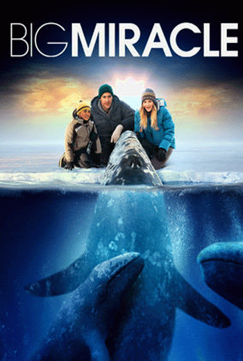 ดูหนัง Big Miracle (2012) ปาฏิหาริย์วาฬสีเทา เต็มเรื่อง
