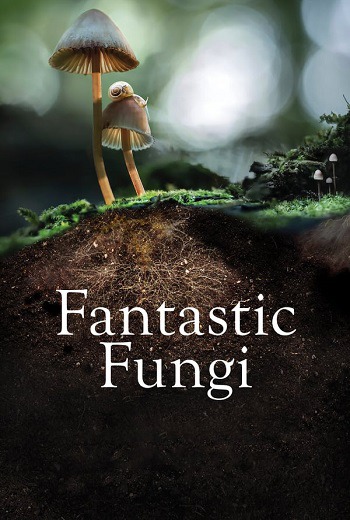 Fantastic Fungi เห็ดมหัศจรรย์ (2019) [พากย์ไทย บรรยายไทย] เต็มเรื่อง