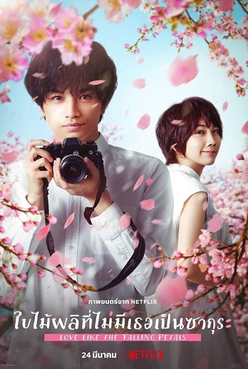 Love Like the Falling Petals ใบไม้ผลิที่ไม่มีเธอเป็นซากุระ (2022) [พากย์ไทย บรรยายไทย]